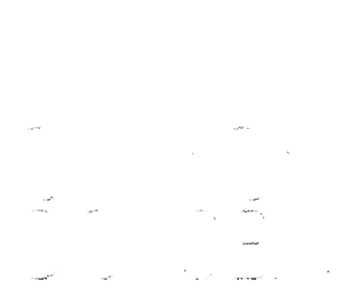 logo main